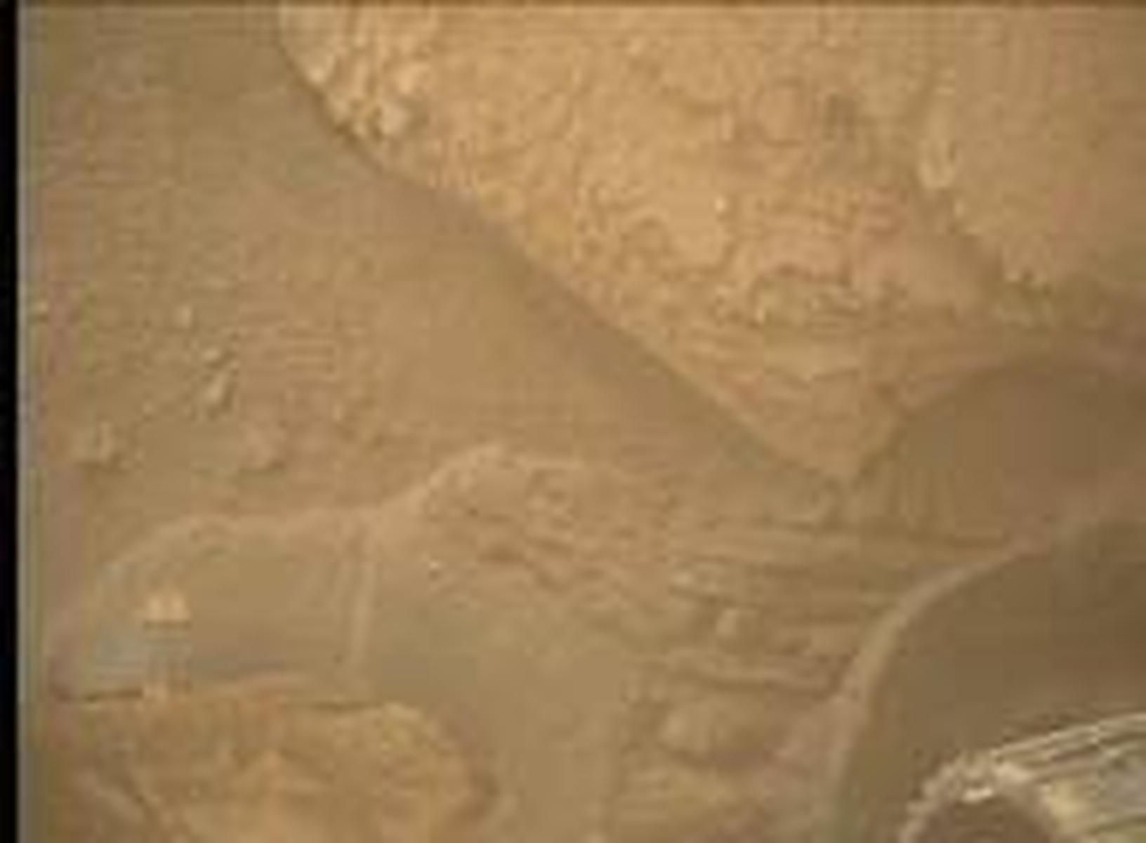 Mars Descent Imager